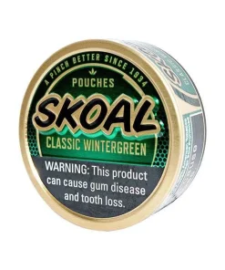 SKOAL, WINTERGREEN POUCHES